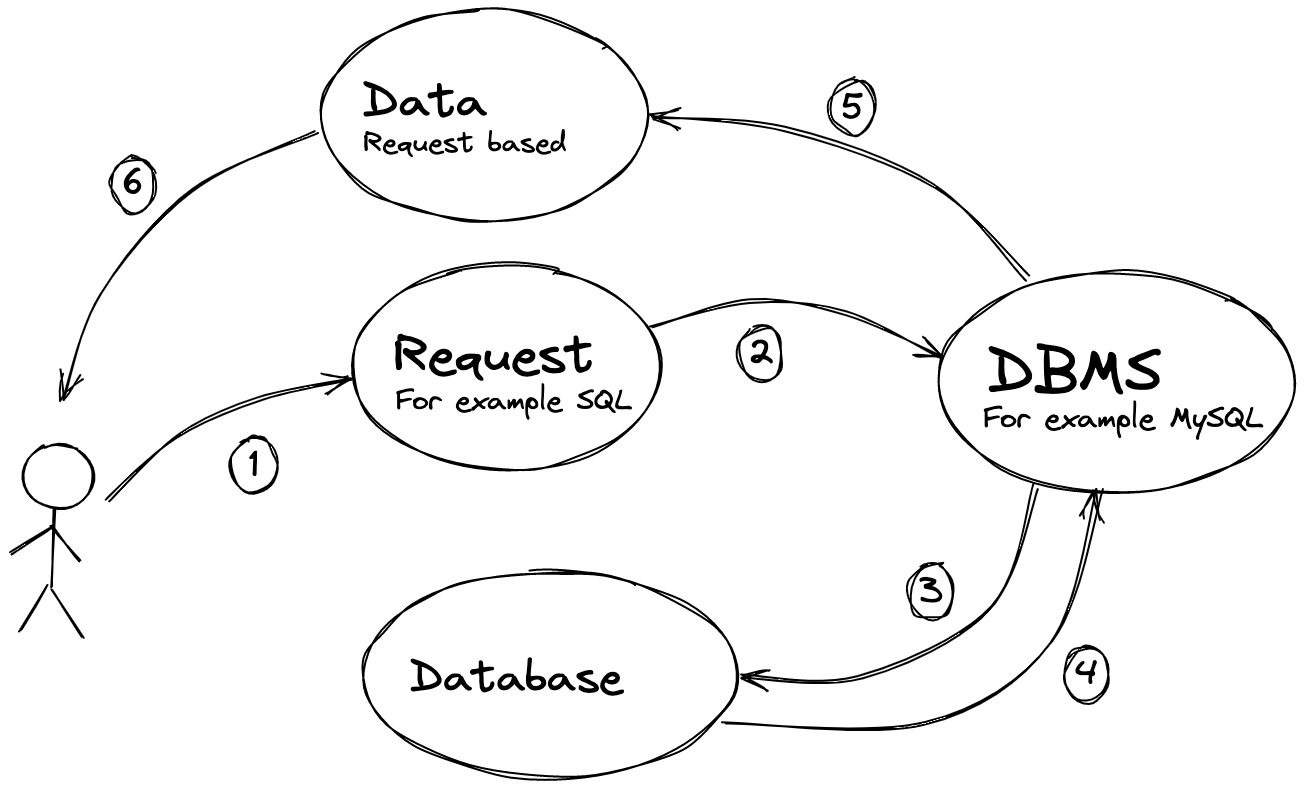 Basic Database Concepts Examples